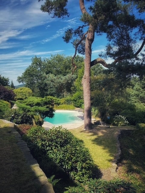 Ein kleiner, geschwungener Pool mit Folienauskleidung liegt eingebettet zwischen Gras, Sträuchern und Bäumen unter einem blauen Himmel mit vereinzelten Wolken. Im Vordergrund steht eine hohe Kiefer in der Nähe des Teichs.