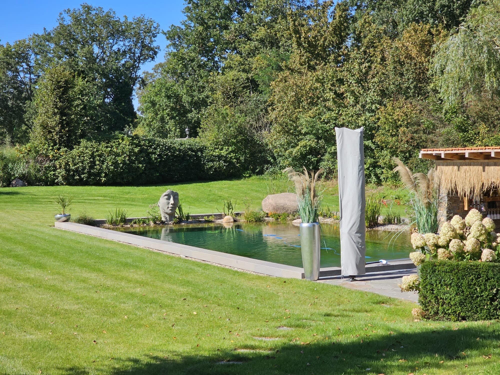 Ein rechteckiger Pool mit klarem Wasser ist von grünem Gras und Pflanzen umgeben. Eine große Steinkopfskulptur und ein Felsbrocken schmücken die andere Seite, während ein überdachter Sitzbereich im Freien den Pool und die hohen Bäume im Hintergrund überblickt.